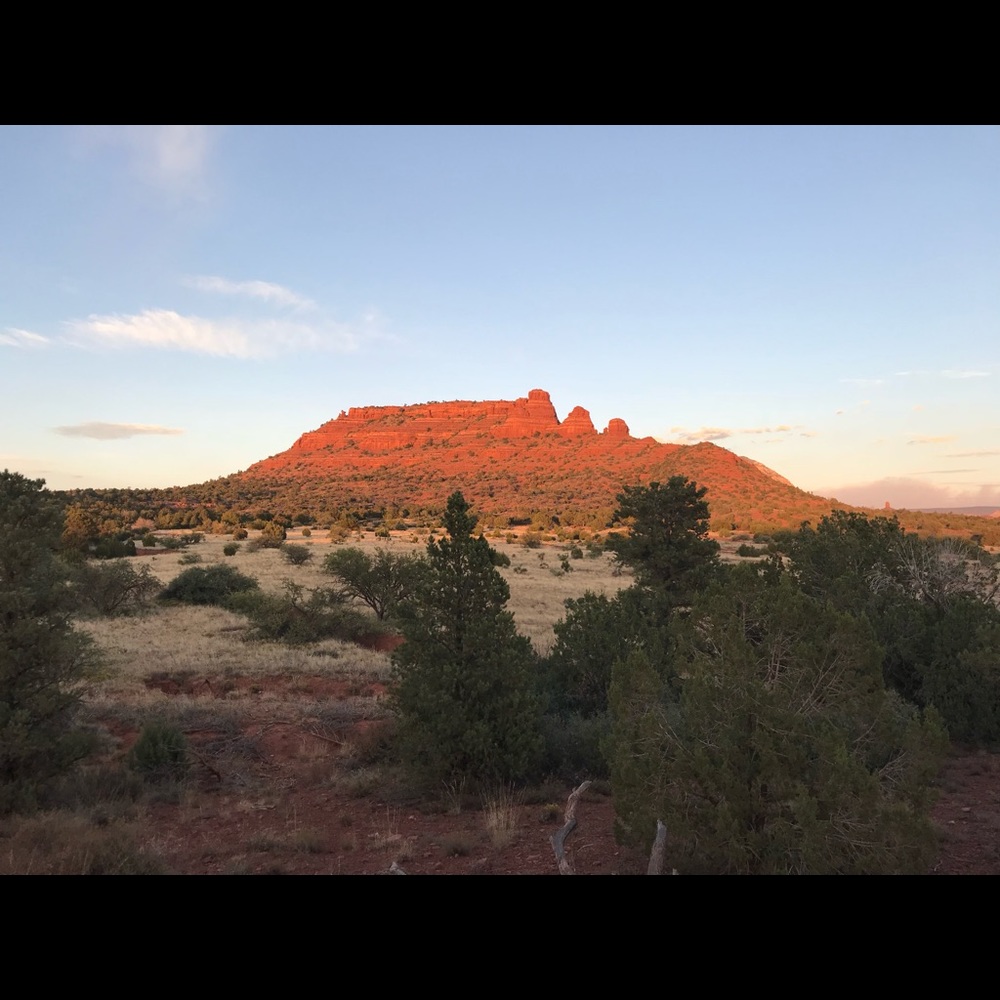 Meet your Posher, Jessie